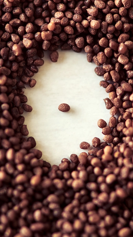 A group of coffee beans in the shape of a circle.
